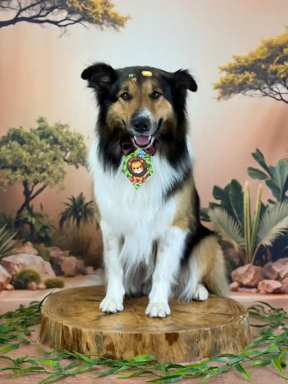 Penteado em cachorro