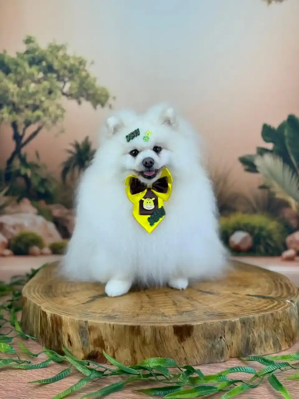 Estética animal profissional