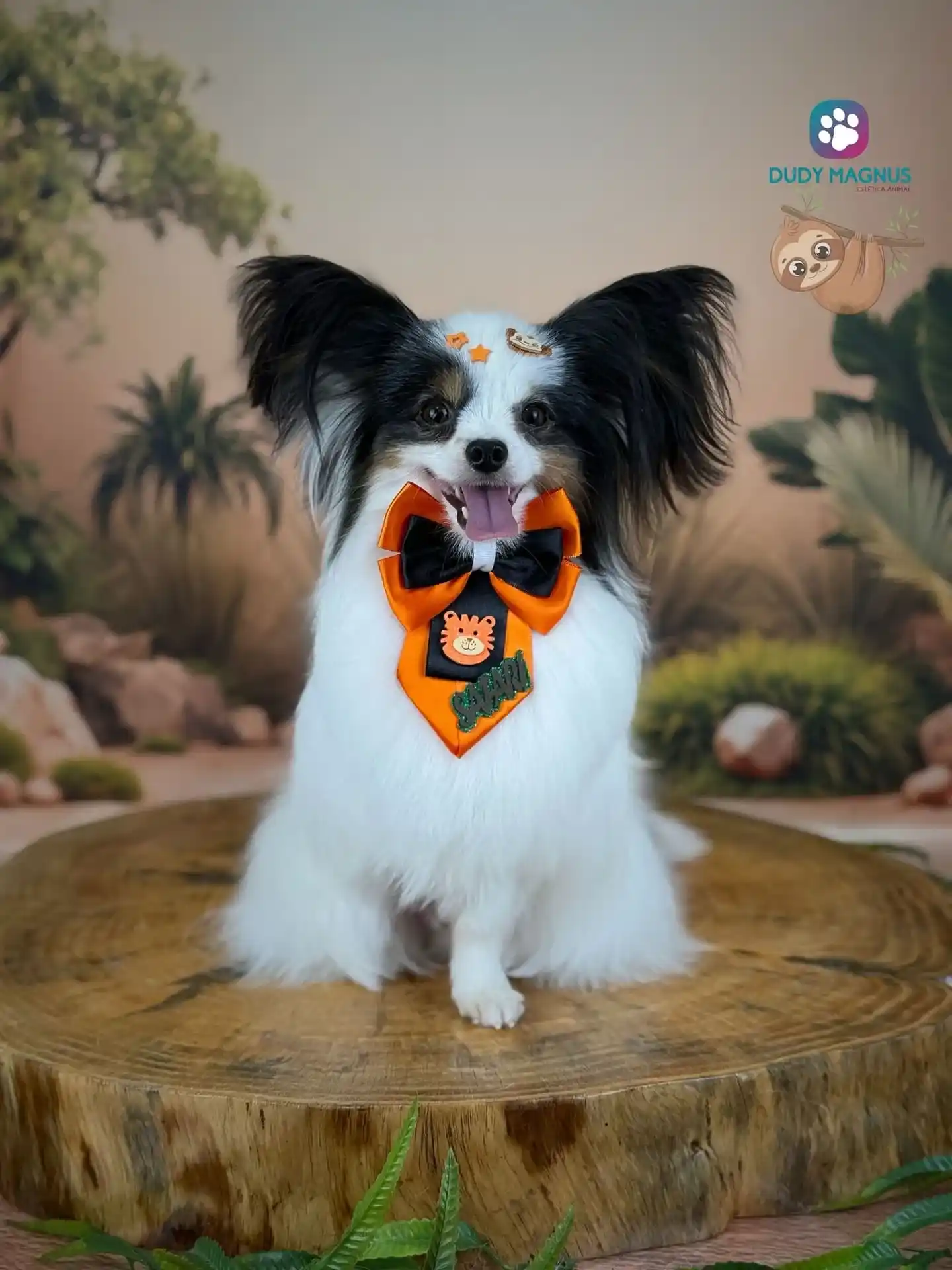 Banho e Tosa em cachorro pequeno porte